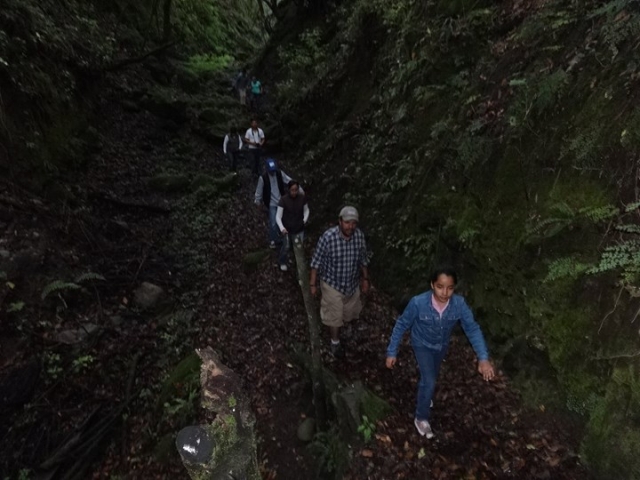 el bosque y sus rincones